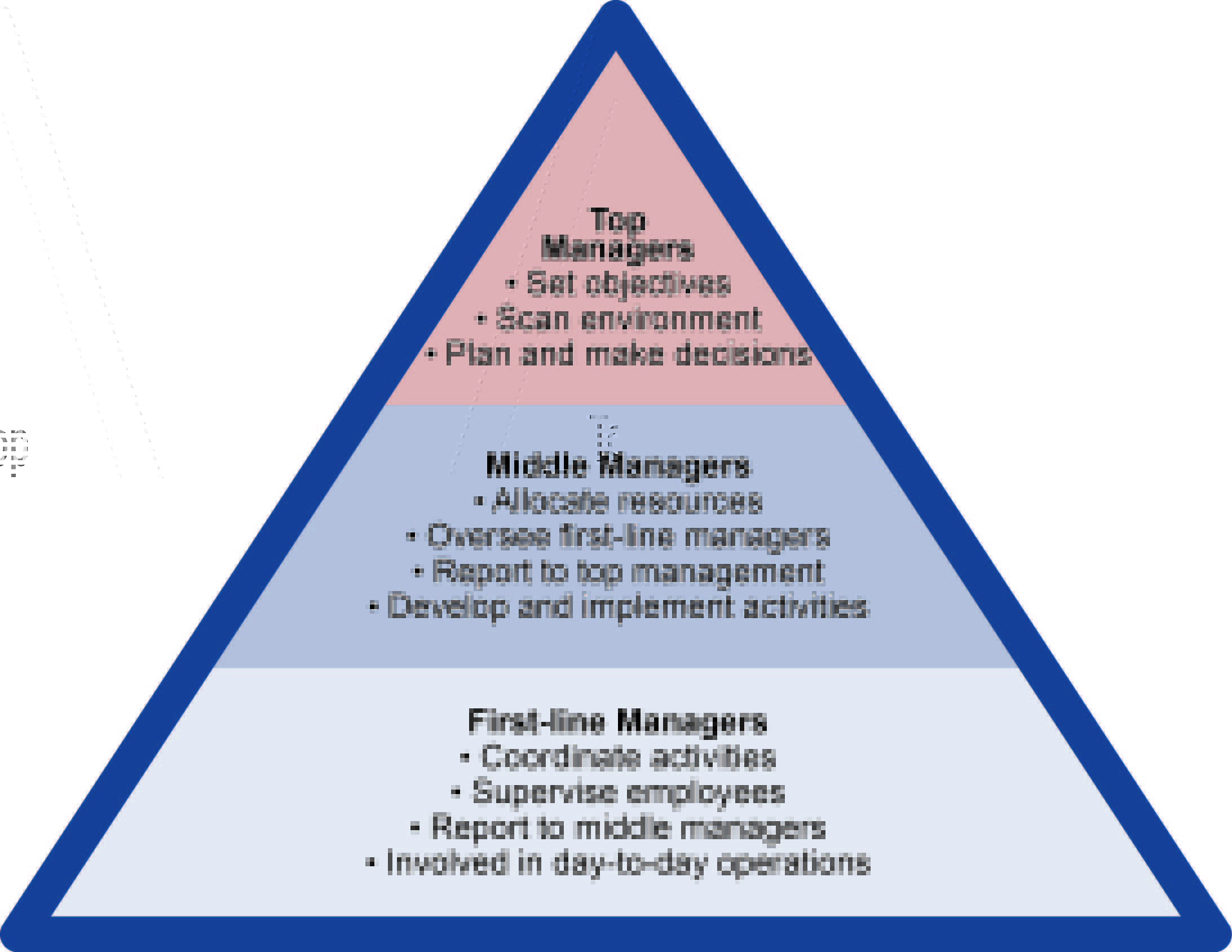 examples of middle managers which are the best
