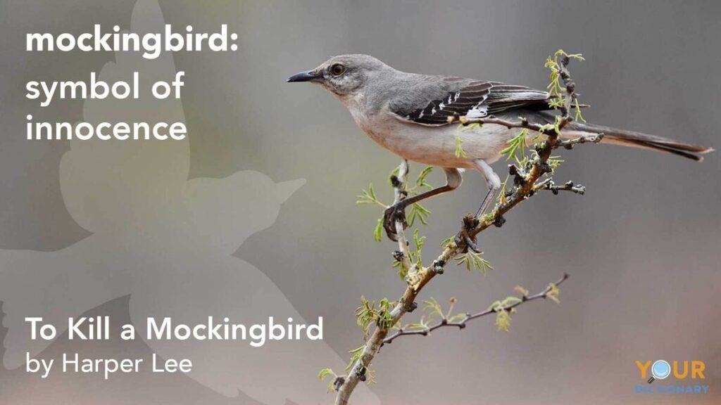 examples of mockingbird symbolism in literature