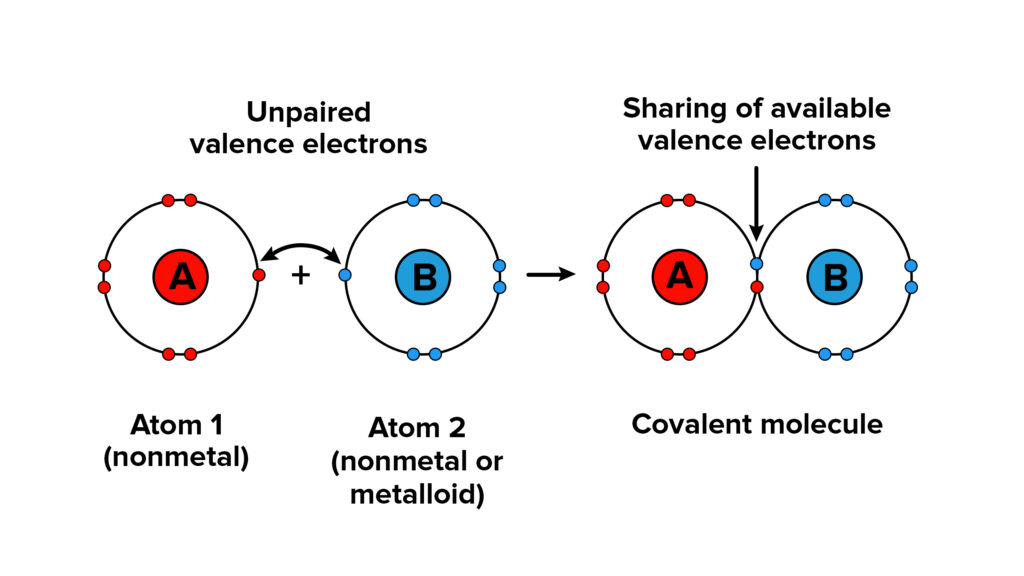 examples of molecules formed by covalent bonds explained