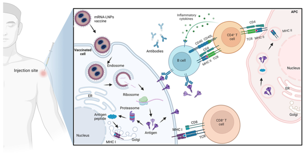 examples of mrna vaccine technology and its impact