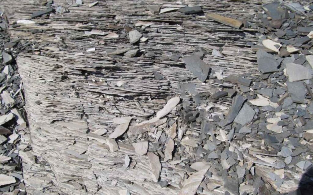 examples of mudrocks types formation and importance