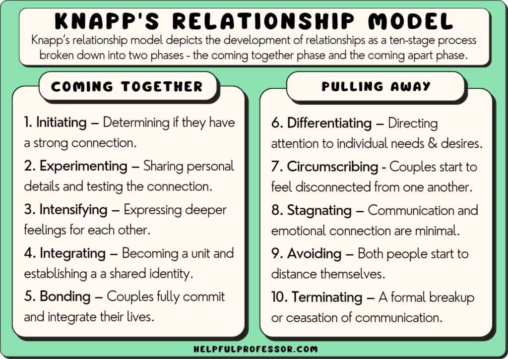 examples of multiple relationships understanding complex dynamics