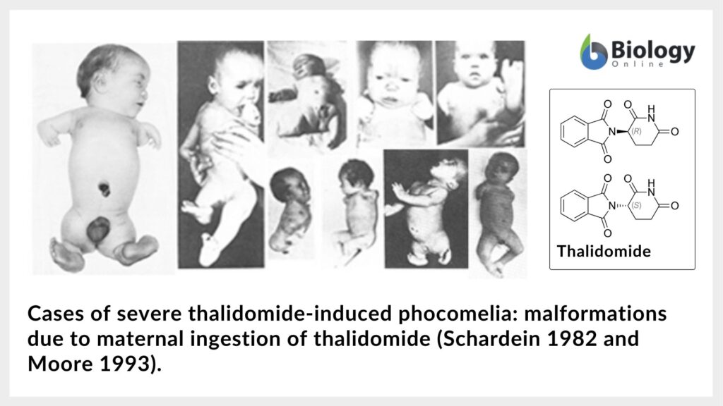 examples of mutagenic agents in daily life