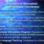 Examples of Naturalistic Teaching in Action examples of naturalistic teaching in action