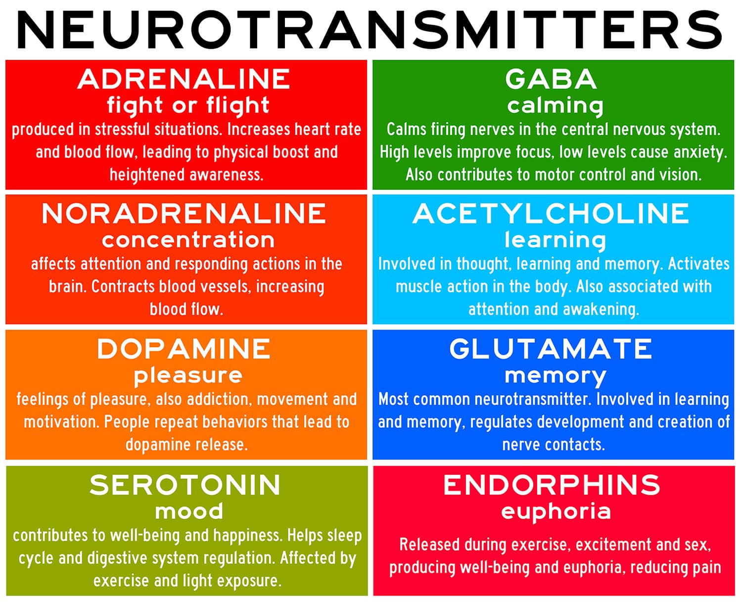 examples of neurotransmitters and their functions