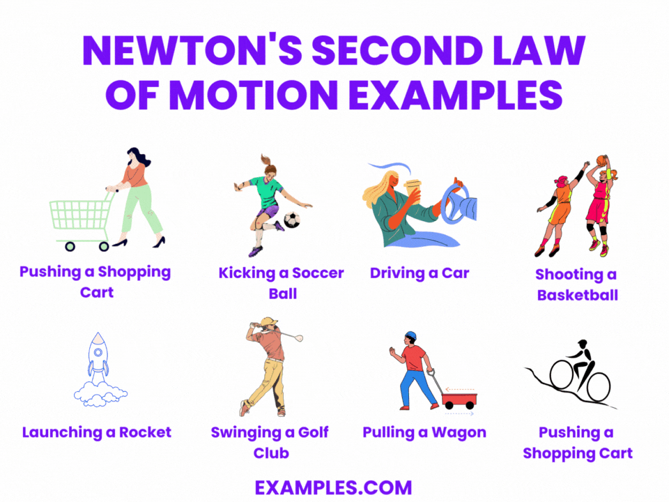 examples of newtons 2nd law in action