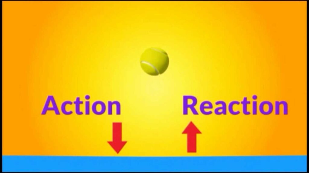 examples of newtons third law in action