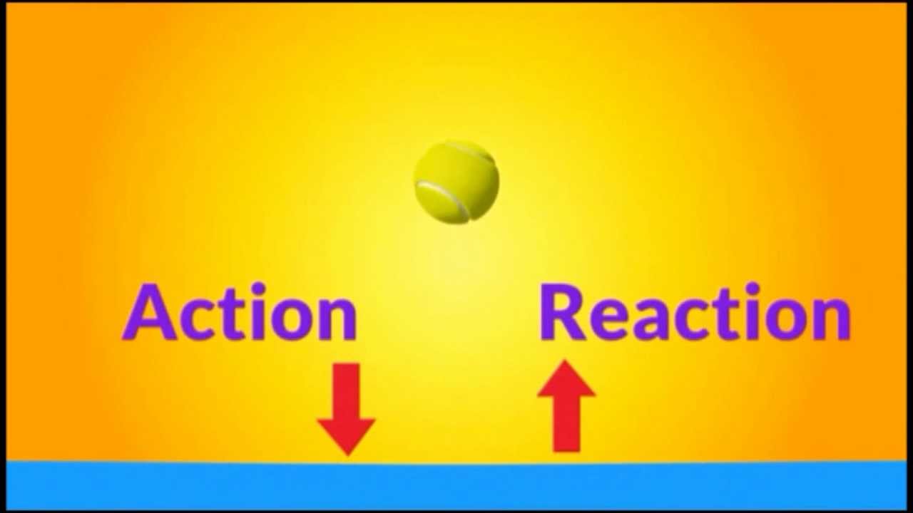 examples of newtons third law in action