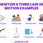 Examples of Newton's Third Law of Motion examples of newtons third law of motion
