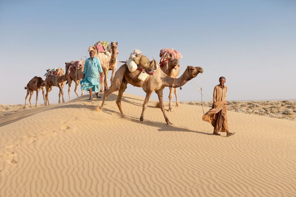 examples of nomad people cultures and lifestyles explored