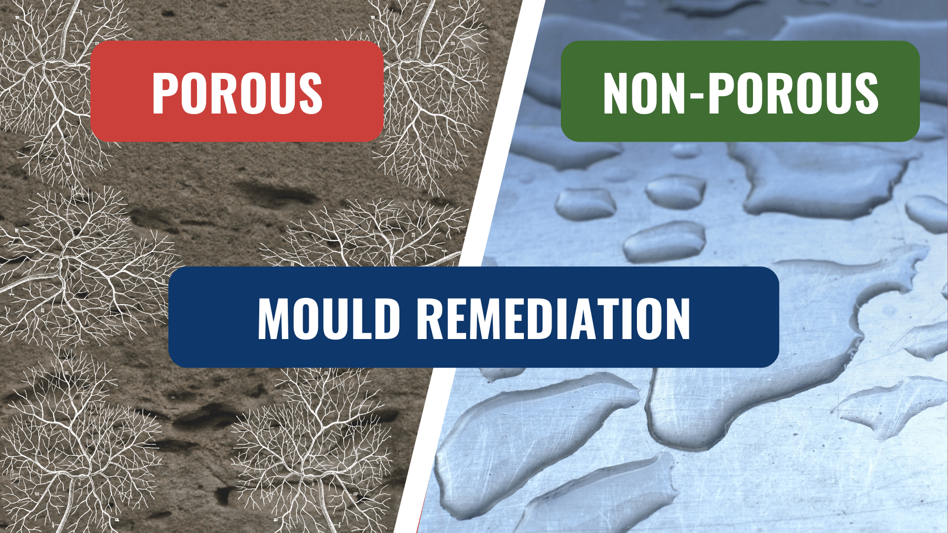 examples of nonporous surfaces for clean living spaces