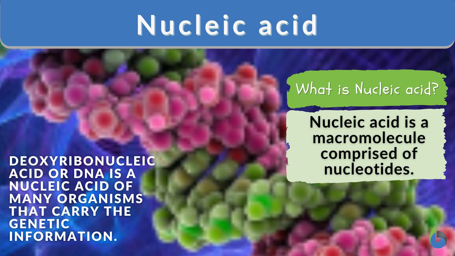 examples of nucleic acids what you need to know