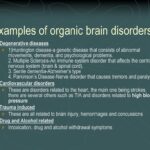 examples of organic mental disorders