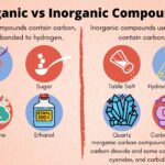 examples of organic vs inorganic materials explained