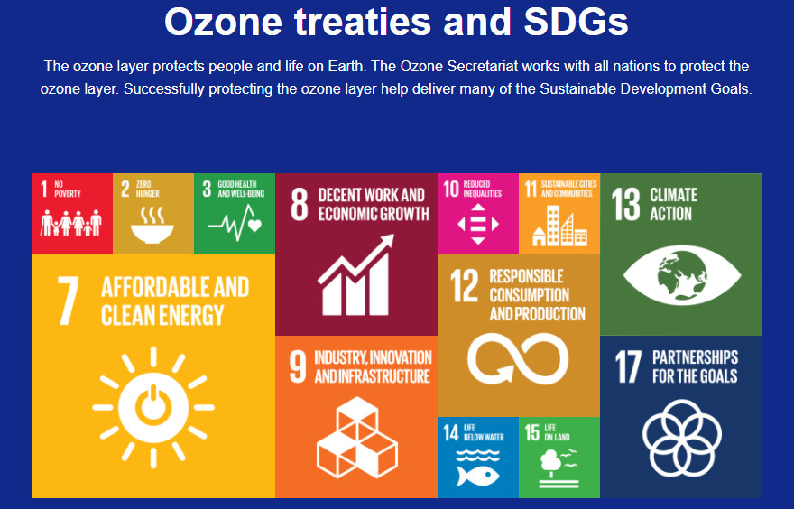 examples of ozone layer protection efforts