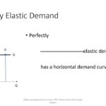 examples of perfectly elastic demand explained 1