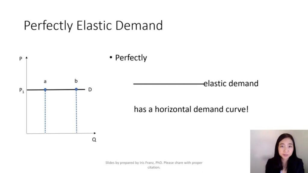 examples of perfectly elastic demand explained