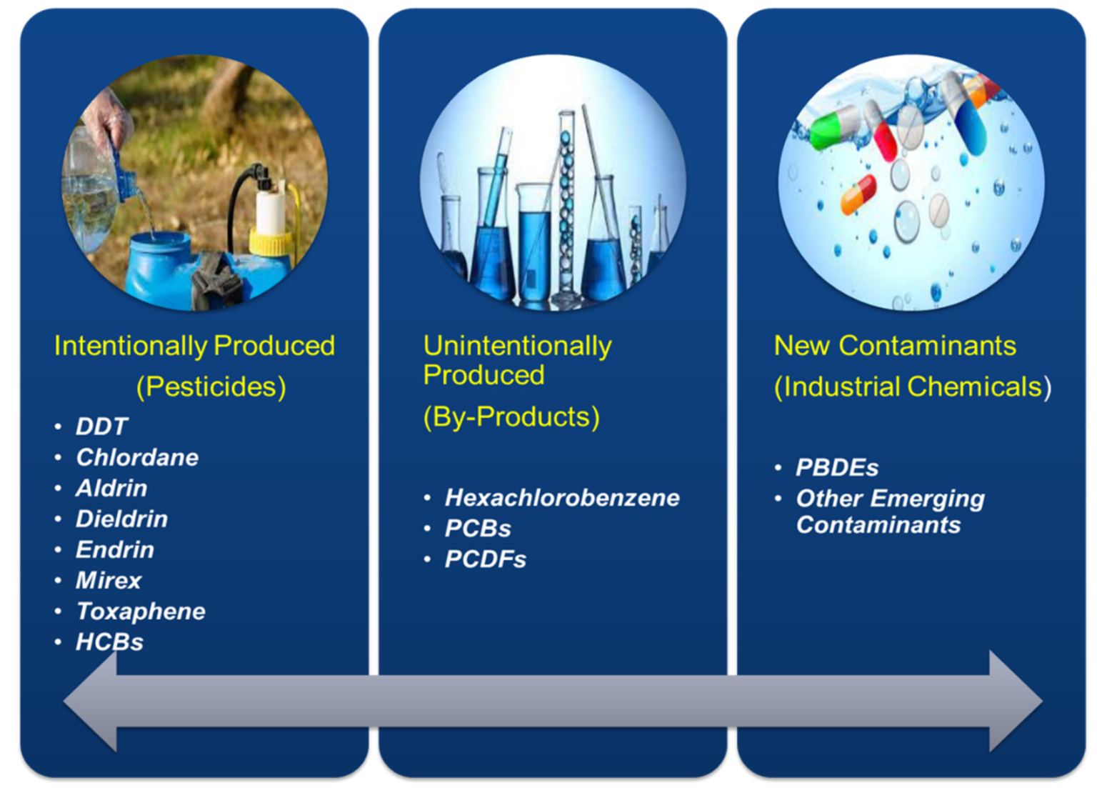 Examples of Persistent Organic Pollutants and Their Impact