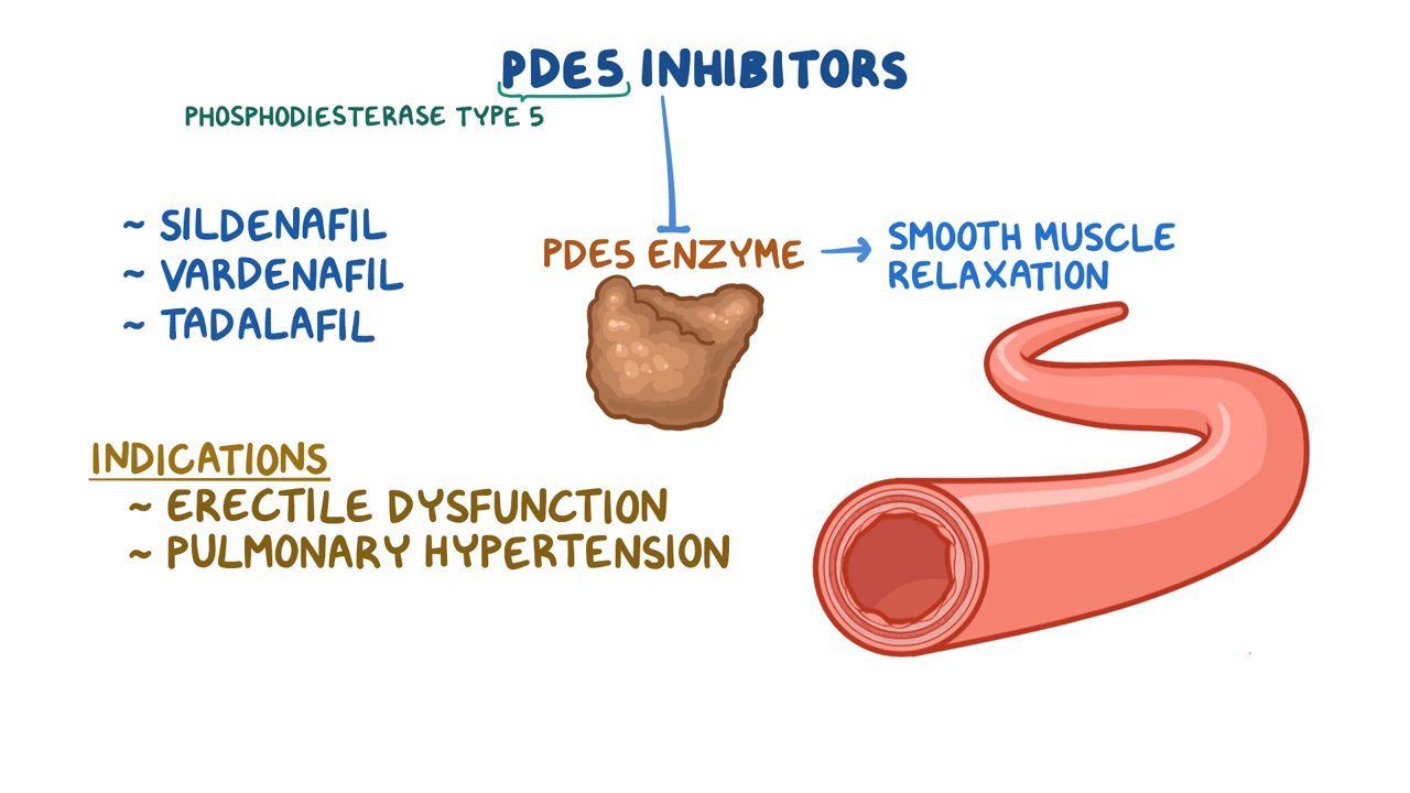 examples of phosphodiesterase inhibitors and their benefits