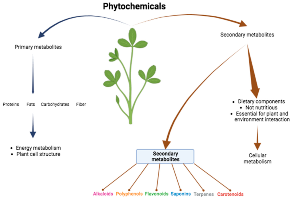 examples of phytochemicals for better health