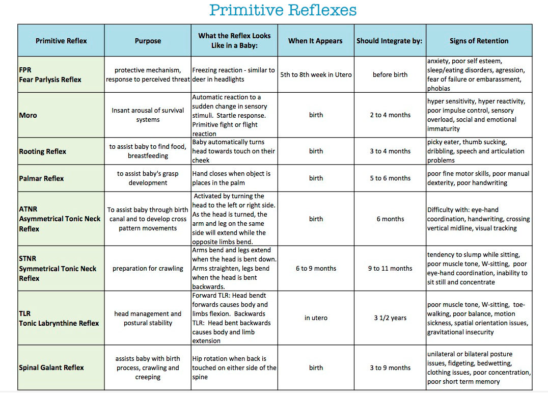 examples of primitive reflexes in infants