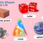 examples of prisms in everyday life