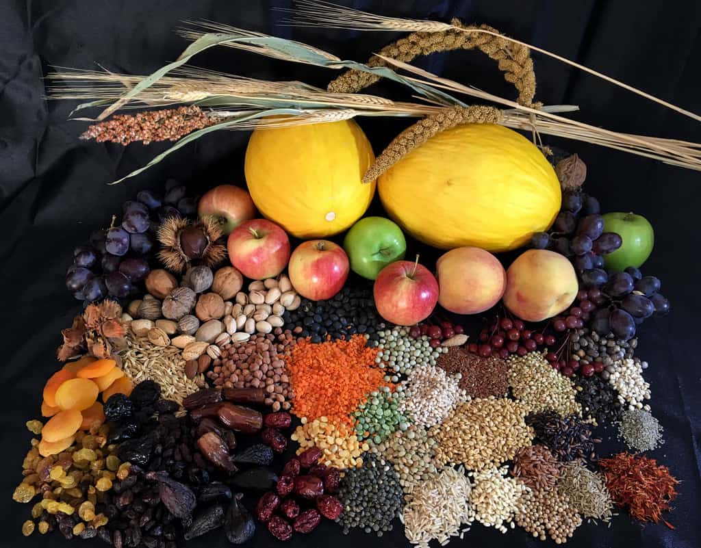 examples of products imported into china along the silk road