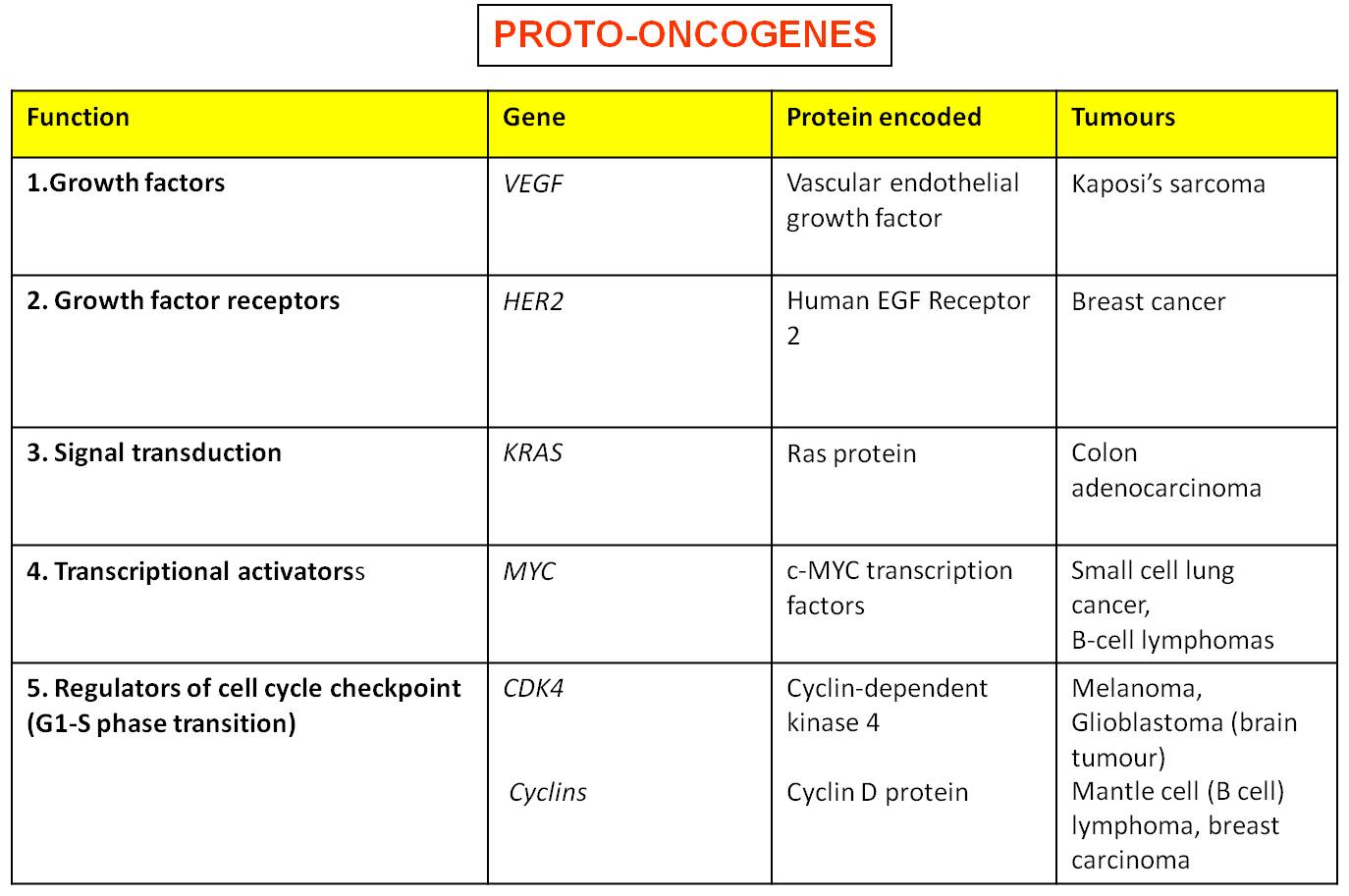 examples of proto oncogenes and their cancer roles