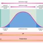 Examples of Range of Tolerance in Biology Explained examples of range of tolerance in biology explained