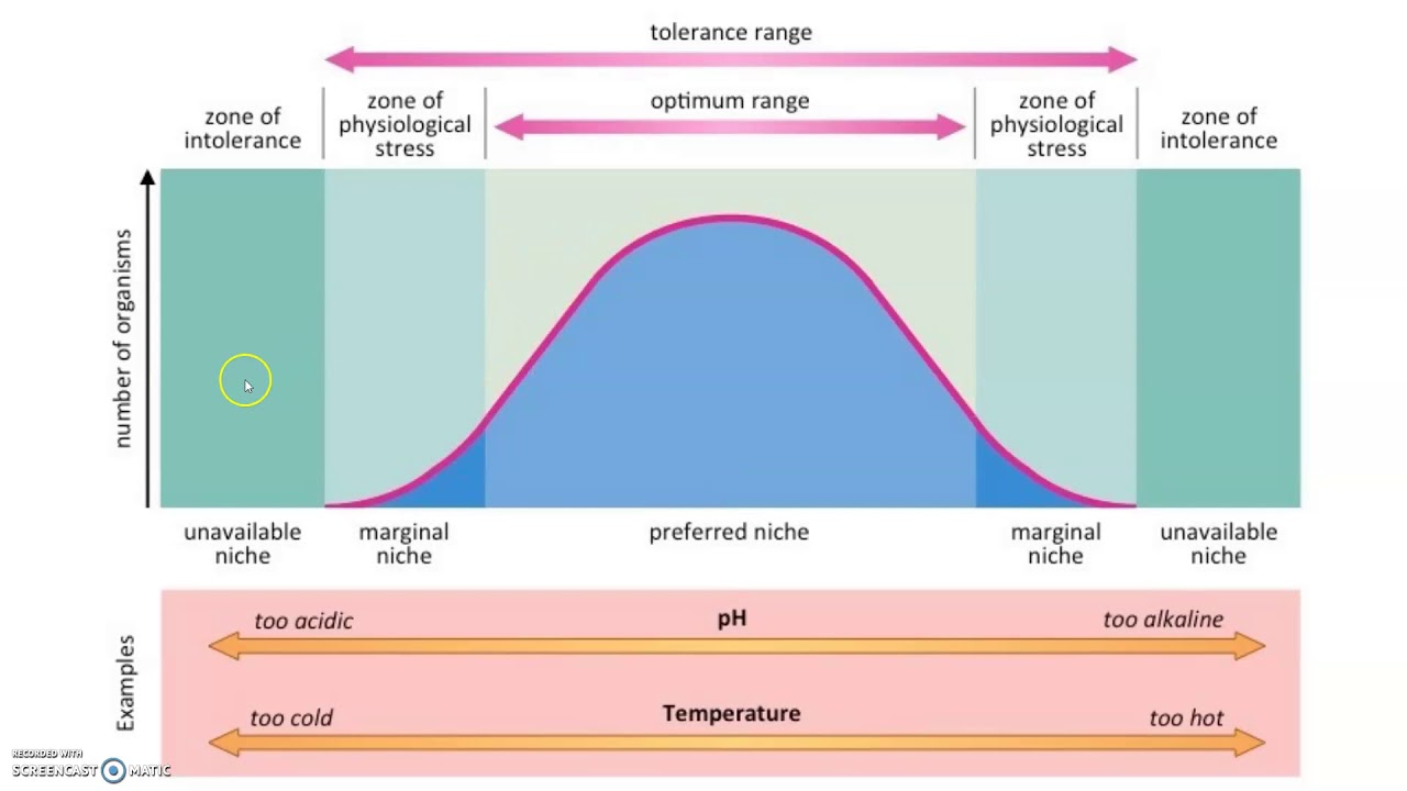 examples of range of tolerance in biology explained
