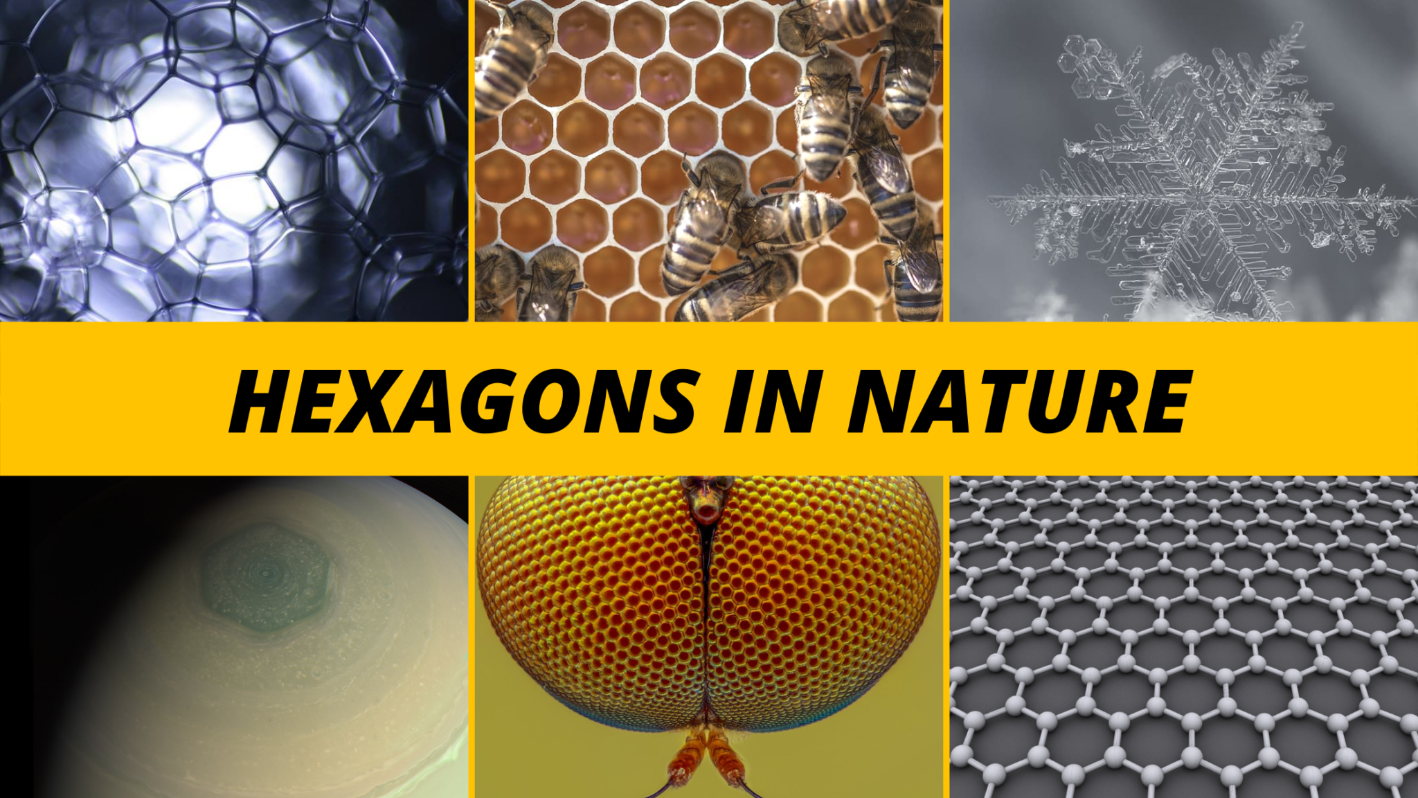 examples of real life hexagons in nature and design