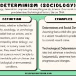 Examples of Reciprocal Determinism in Everyday Life examples of reciprocal determinism in everyday life