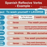 Examples of Reflexive Verbs in Spanish examples of reflexive verbs in spanish