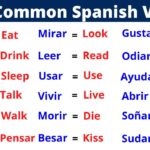 Examples of Regular Verbs in Spanish for Effective Learning examples of regular verbs in spanish for effective learning