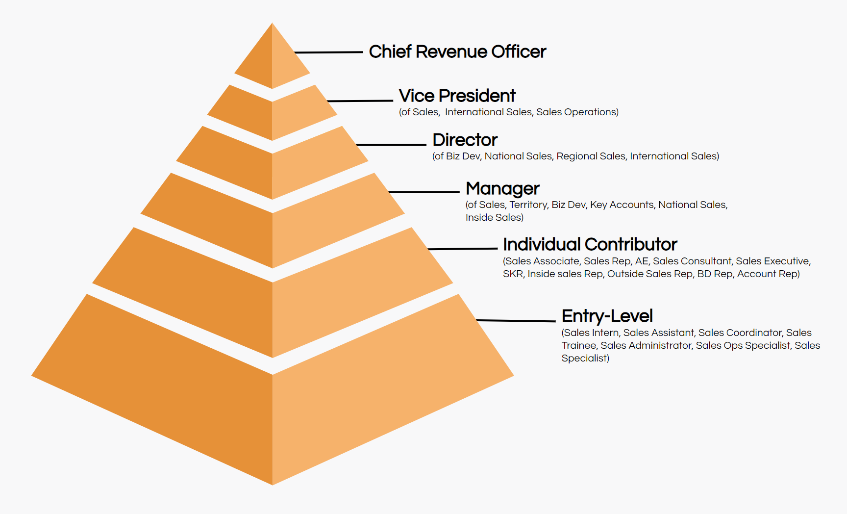 examples of retail job titles you should know