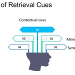 Examples of Retrieval Cues for Better Memory Recall examples of retrieval cues for better memory recall