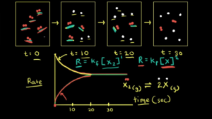 Examples of Reversible Reactions: Check All That Apply