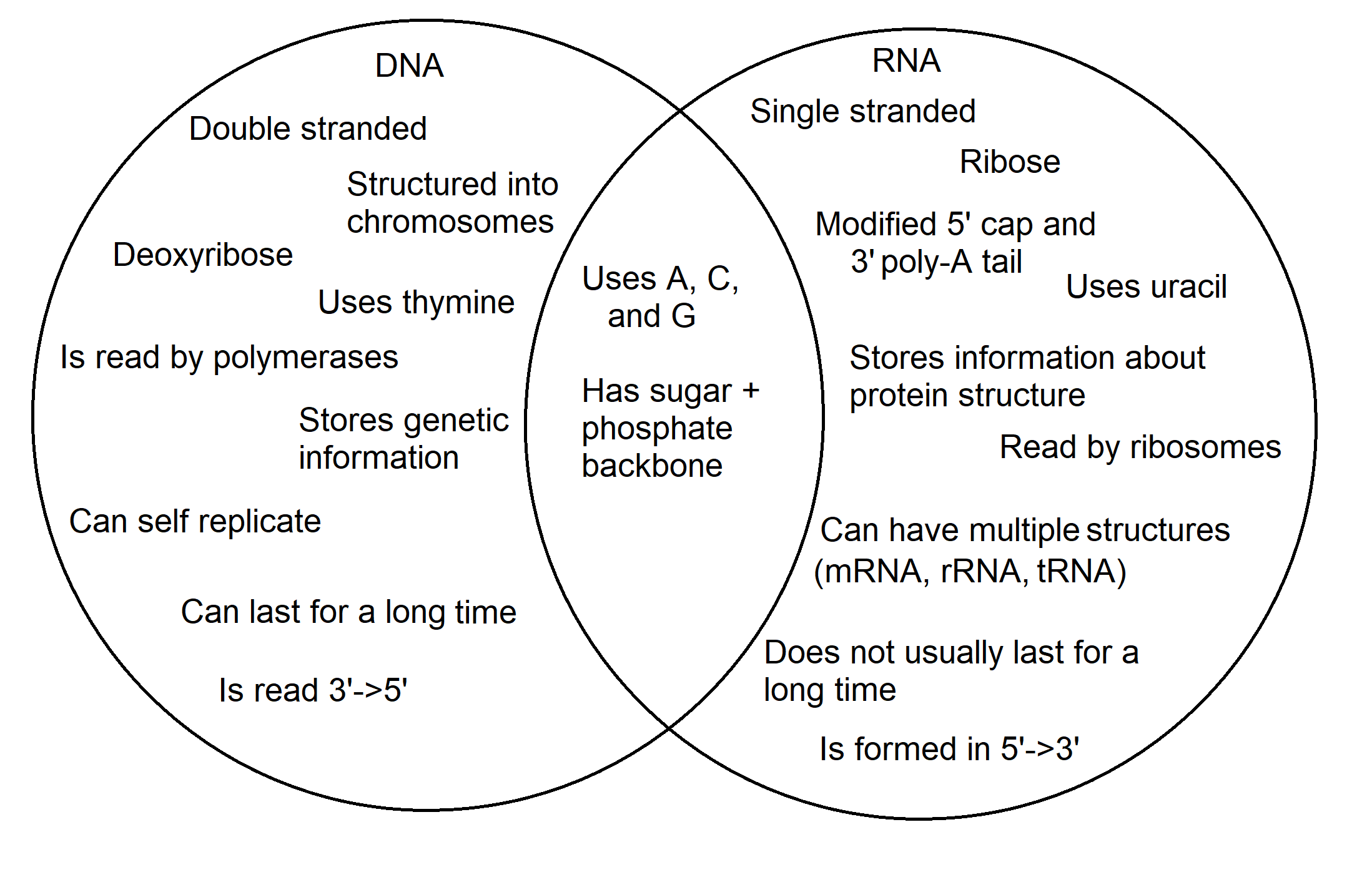 examples of rna vs dna structures and functions