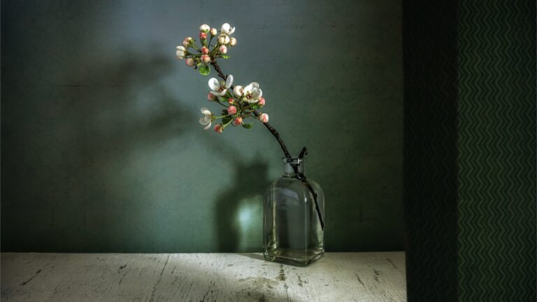 Still Example Examples of Simple Still Life Photography Techniques