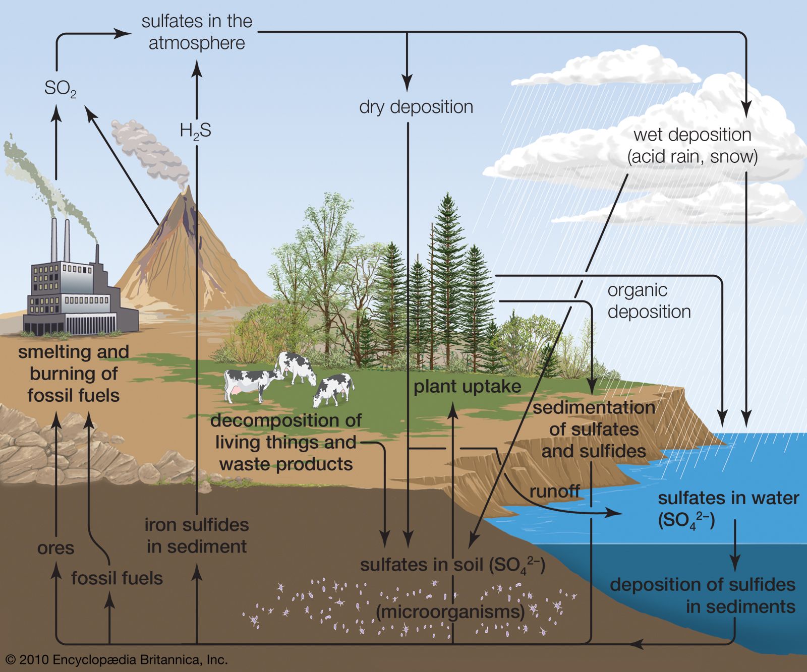 examples of so4 in industry and environment