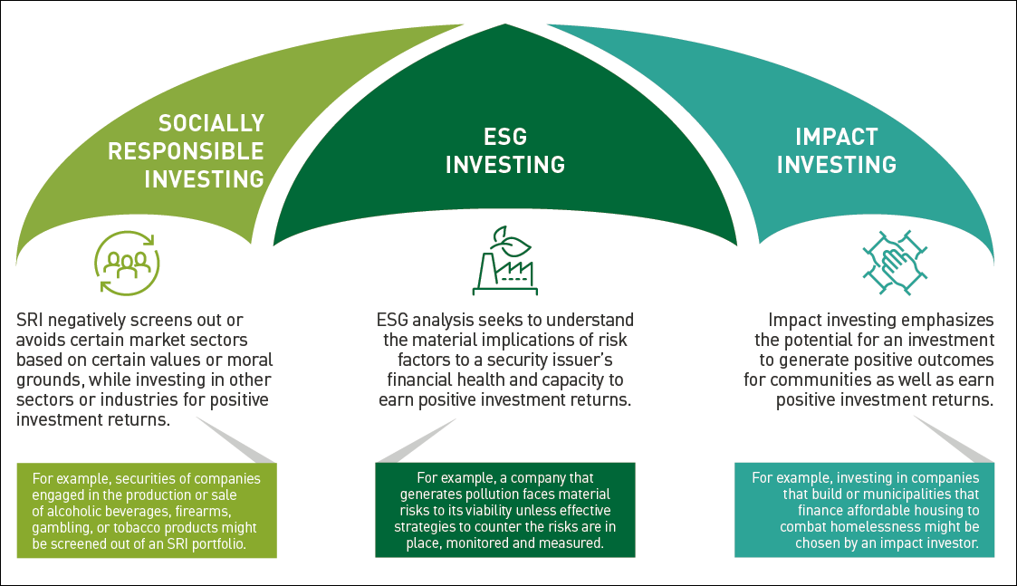 examples of socially responsible investing strategies