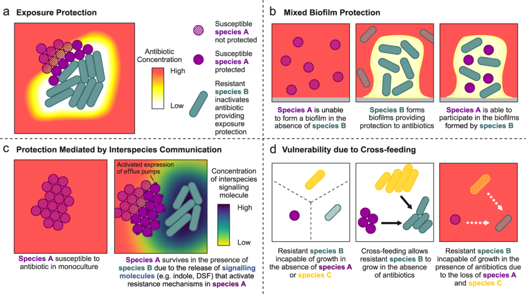 examples of species resistance key insights and cases