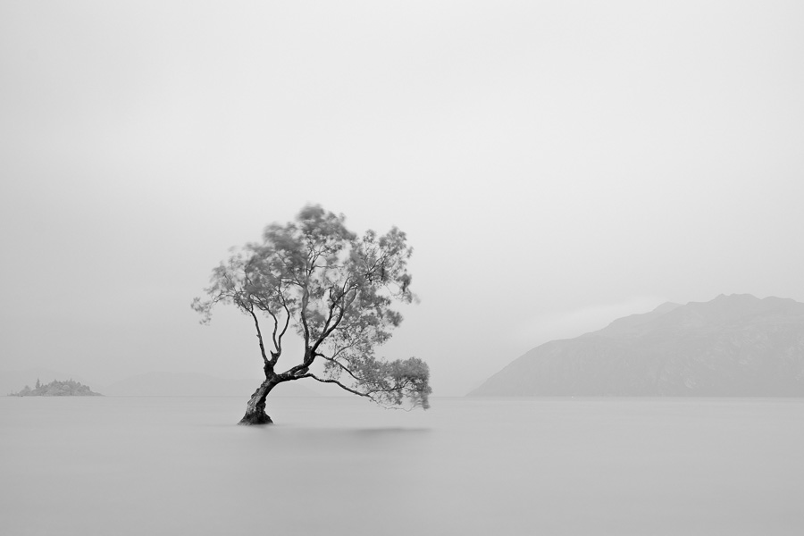 examples of stunning negative space photography techniques