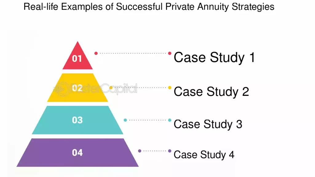 examples of successful private funding strategies