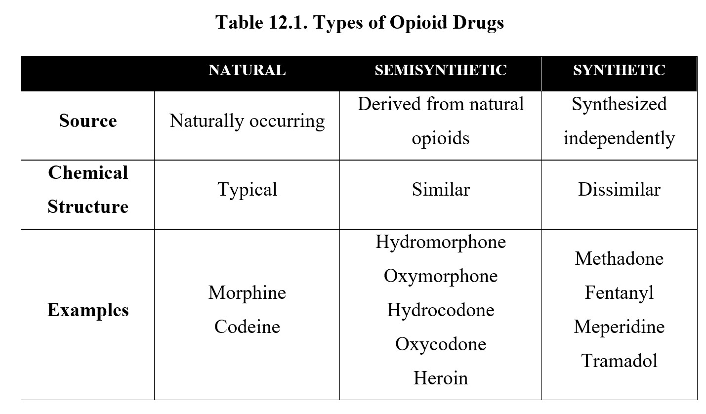 examples of synthetic opioids and their impact