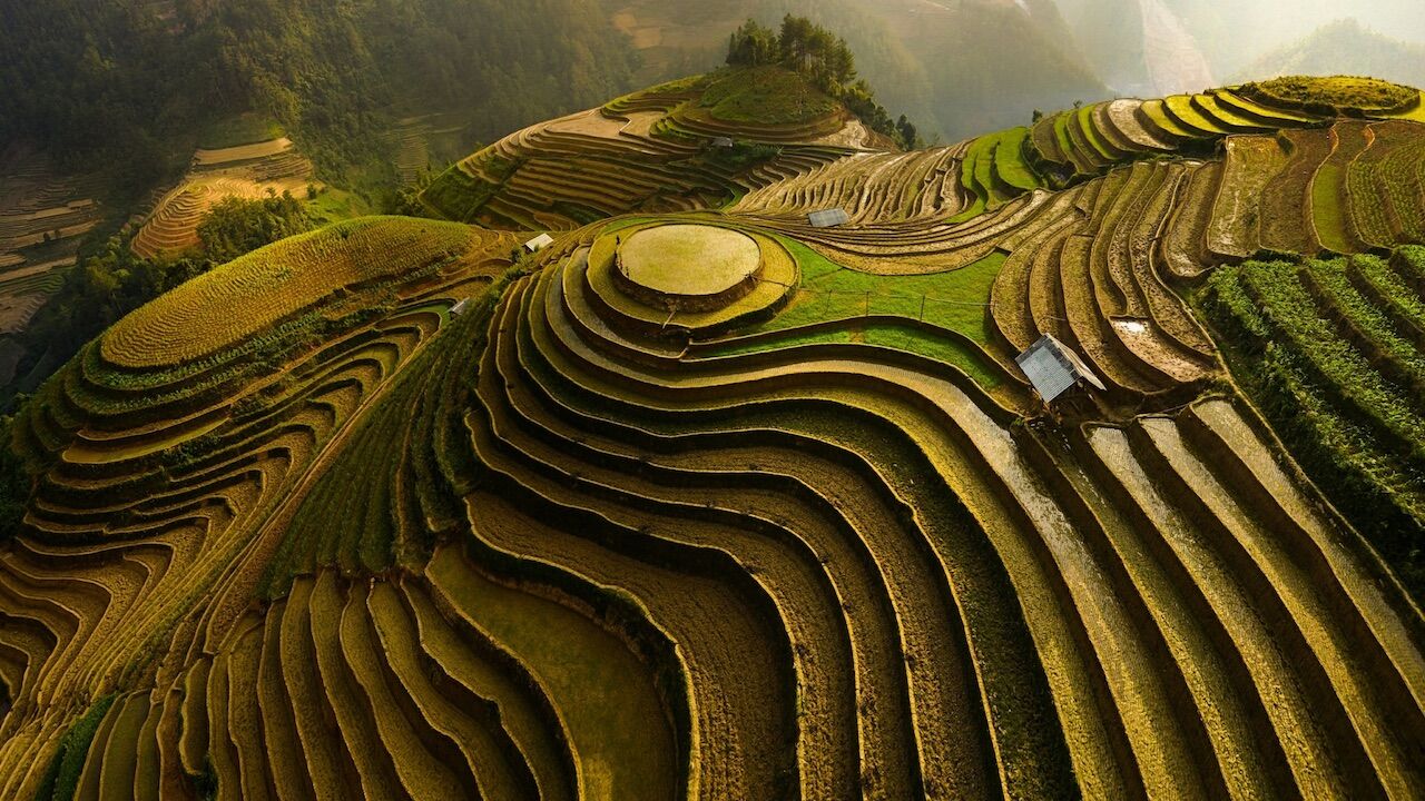 examples of terraced farming around the world