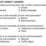 examples of textual visuals choose the correct answers