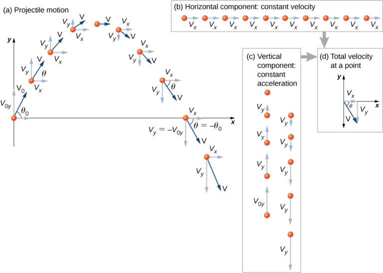 Examples of the Acceleration Vector of a Particle in Projectile Motion
