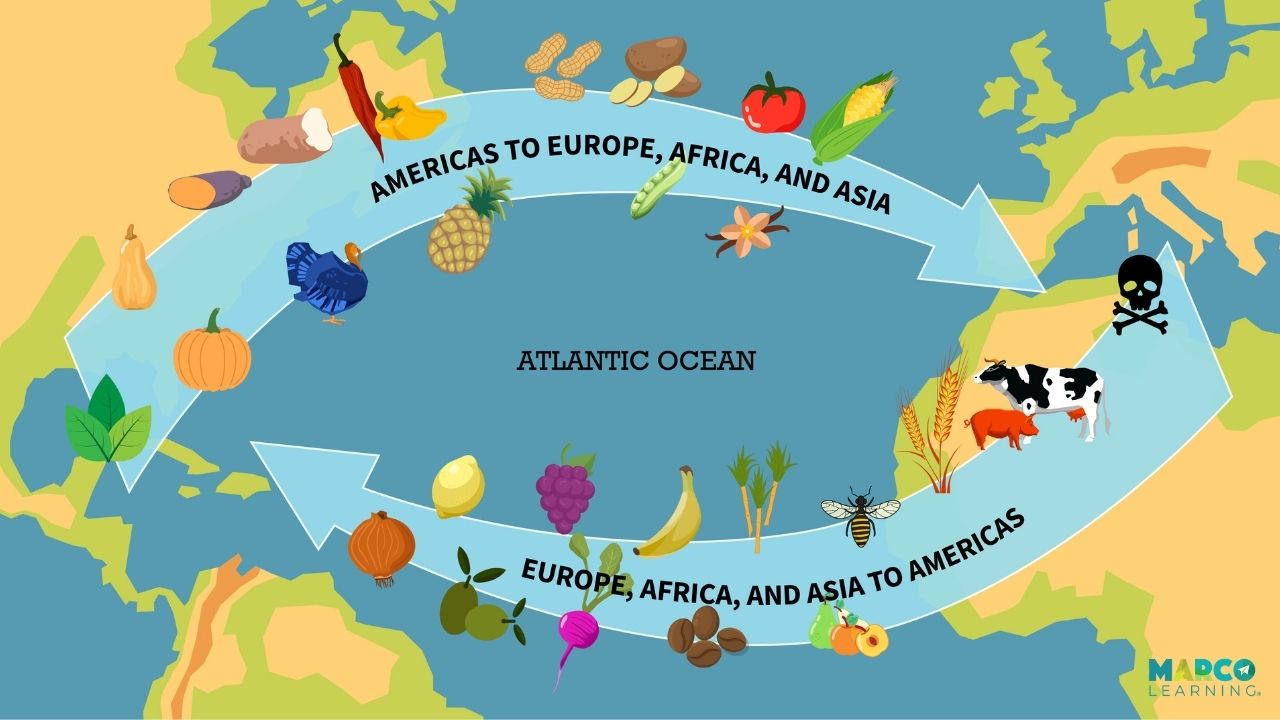 examples of the columbian exchange in history