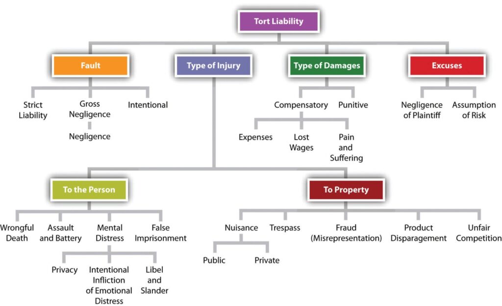 examples of the different types of torts explained